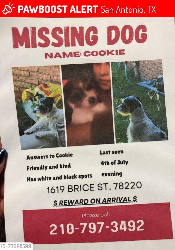 Lost Female Dog last seen Brice st, San Antonio, TX 78220