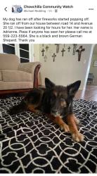 Lost Female Dog last seen Dairyland Ave. 20 1/2 & Rd. 14, Chowchilla, CA 93610