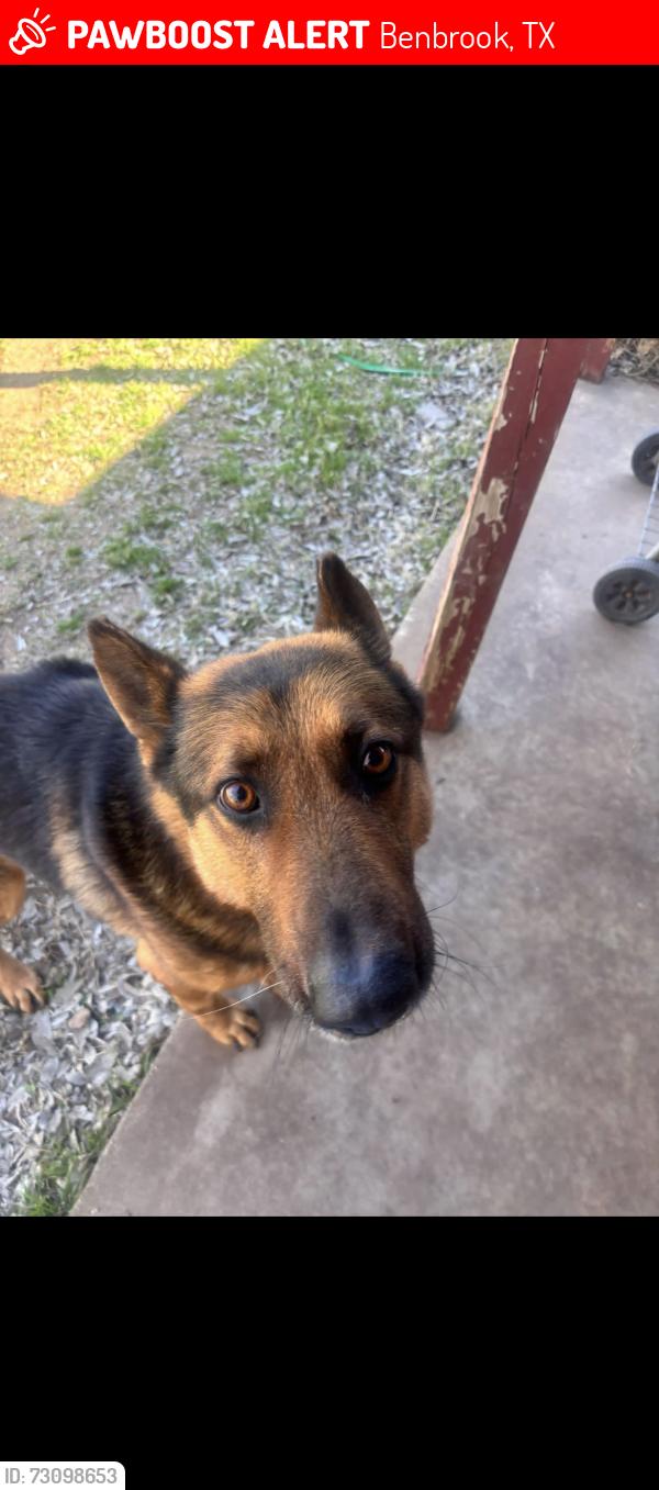 Lost Male Dog last seen Near Duane streett, Benbrook, TX 76126