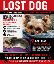 Lost Female Dog last seen 17th and crowley, Ammon, ID 83406