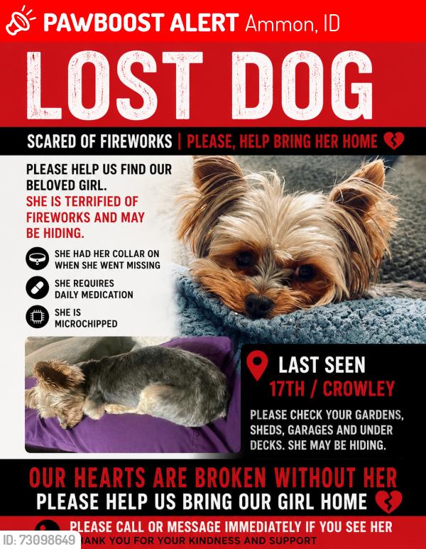 Lost Female Dog last seen 17th and crowley, Ammon, ID 83406