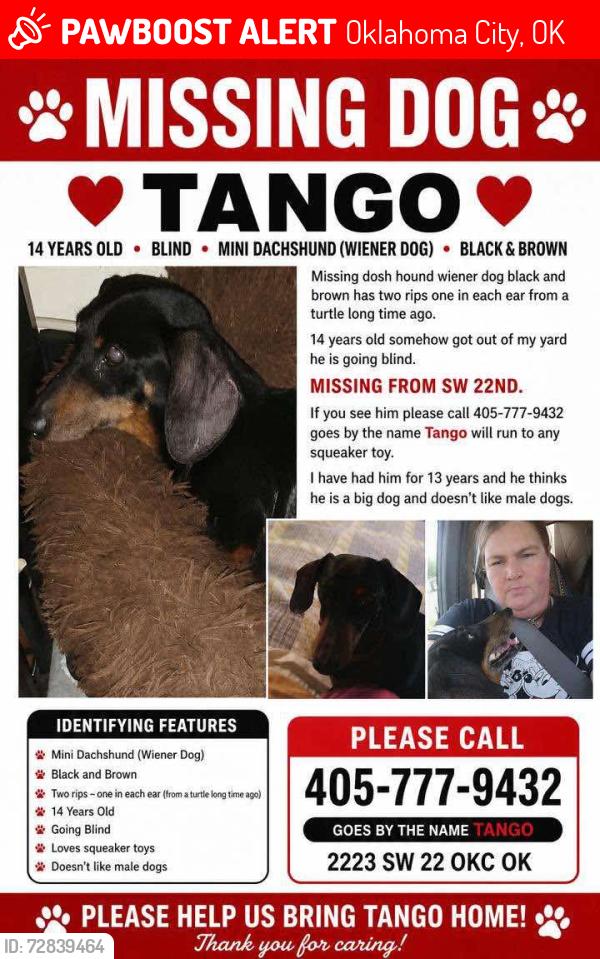 Lost Male Dog last seen Agnew, Oklahoma City, OK 73108