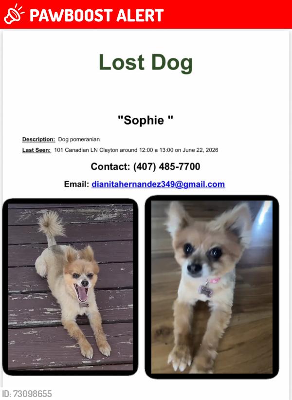 Lost Female Dog last seen Canadian Ln y Red Star Ln, Clayton Nc 27520, Clayton, NC 27520