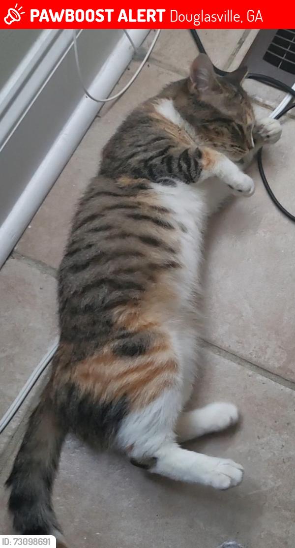 Lost Female Cat last seen Kathy ct near Blake drive, Douglasville, GA 30134