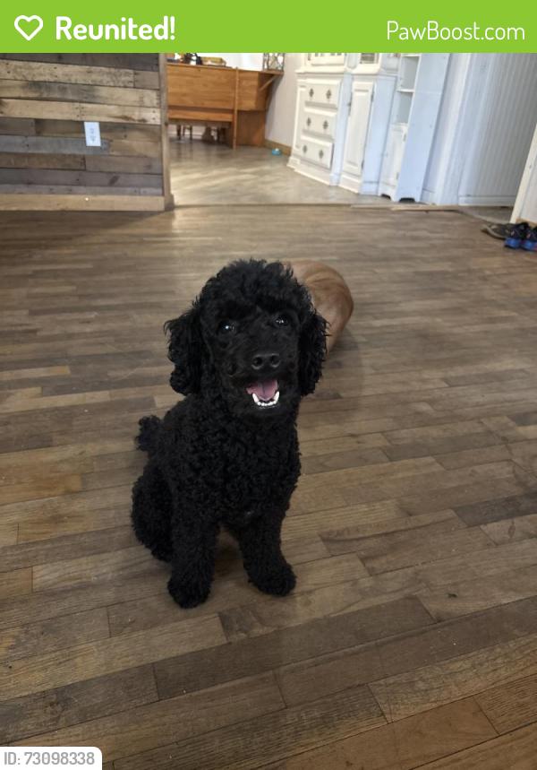 Reunited Male Dog last seen Walmart, Cocoa, FL 32926