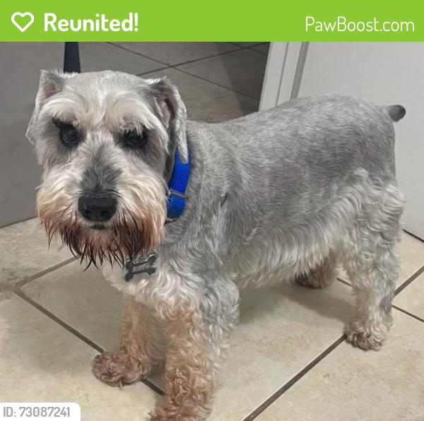 Reunited Female Dog last seen Siesta lago Kissimmee , Kissimmee, FL 34746