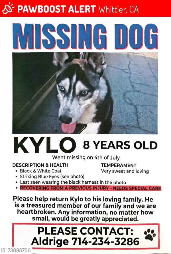 Lost Male Dog last seen Bailey , Philadelphia, Whittier, CA 90601