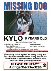 Lost Male Dog last seen Bailey , Philadelphia, Whittier, CA 90601
