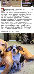 Lost Female Dog last seen Off of high banks near railroad tracks, DeBary, FL 32713