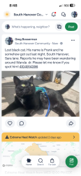 Lost Male Cat last seen South hanover, Hanover, PA 17331