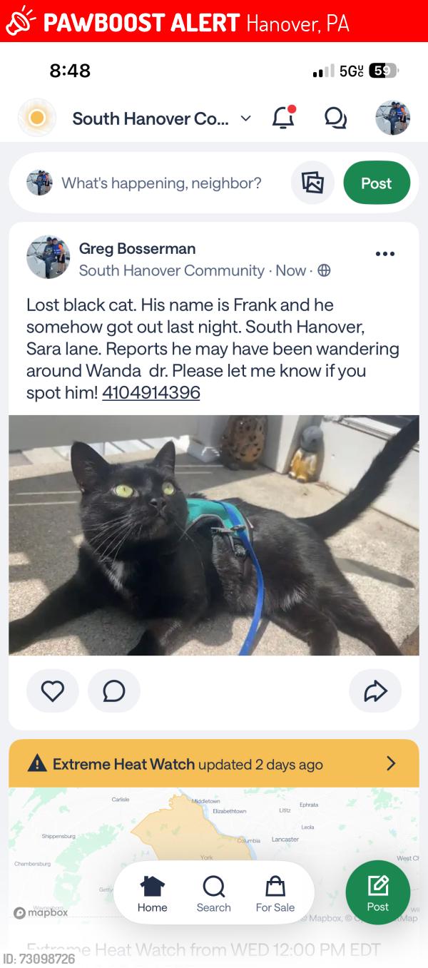 Lost Male Cat last seen South hanover, Hanover, PA 17331