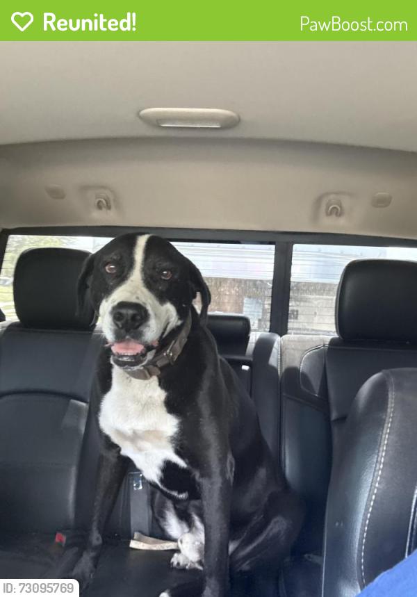 Reunited Male Dog last seen Clemons and Jim Johnson, Plant City, FL 33566