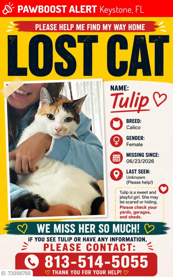 Lost Female Cat last seen Haymarket lane, Odessa, Fl., Keystone, FL 33556