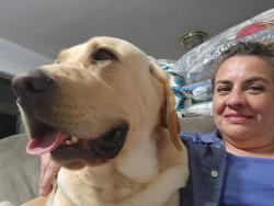 Lost Male Dog last seen Lindsey ave behind Ross store, Pico Rivera, CA 90660