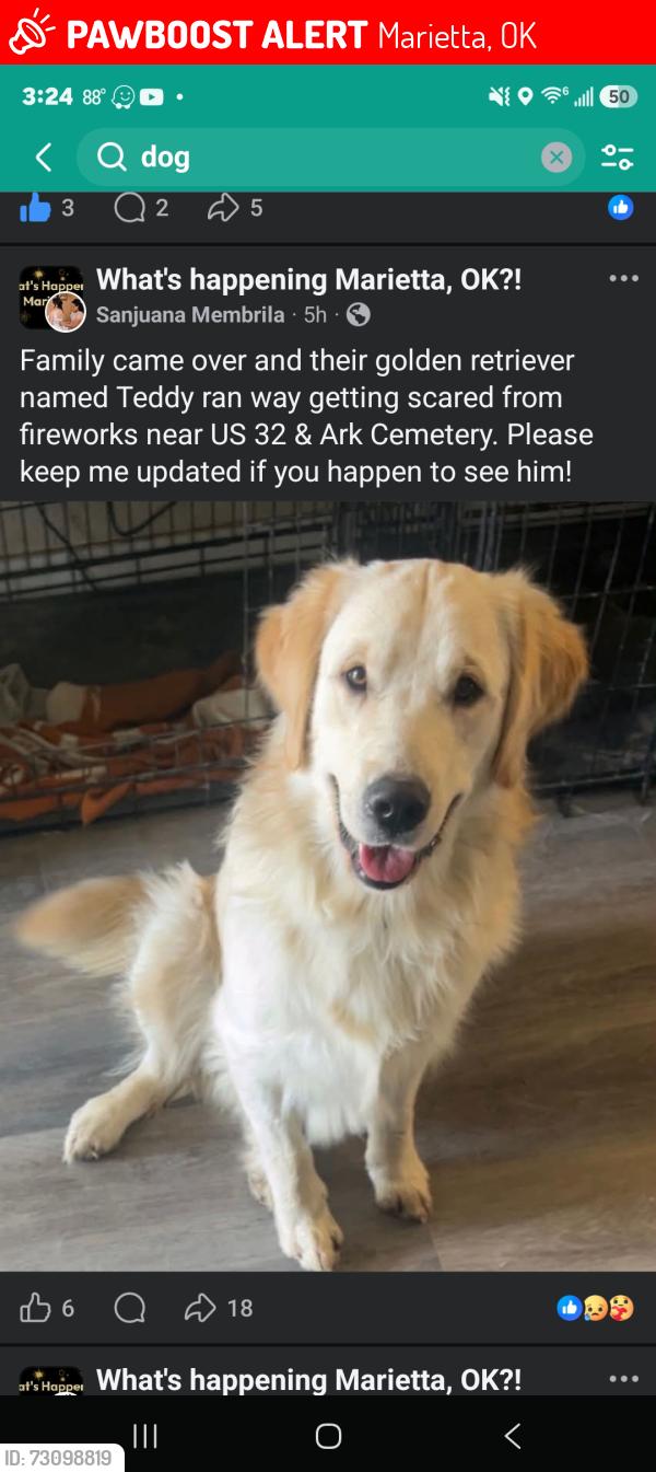 Lost Male Dog last seen us 32 & arc cemetery, Marietta, OK 73448