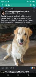 Lost Male Dog last seen us 32 & arc cemetery, Marietta, OK 73448