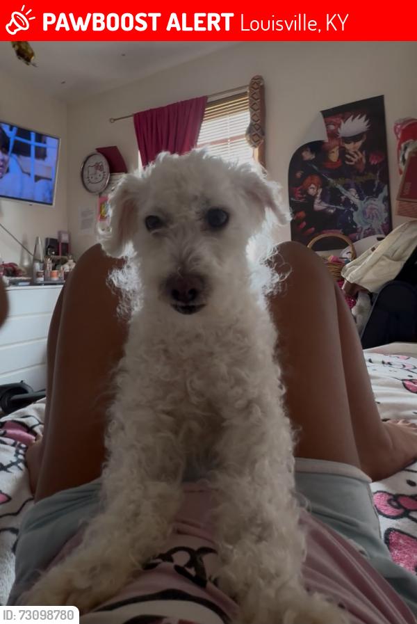Lost Male Dog last seen Dogoon dr, Louisville, KY 40223