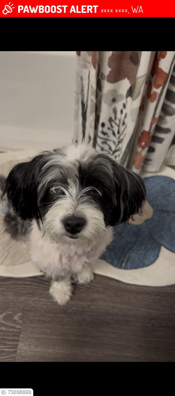 Lost Female Dog last seen Near US-2 Coulee city, Wa 99115, Кули Сити, WA 99115