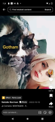 Lost Male Cat last seen N walnut ave, Manteca, CA 95336