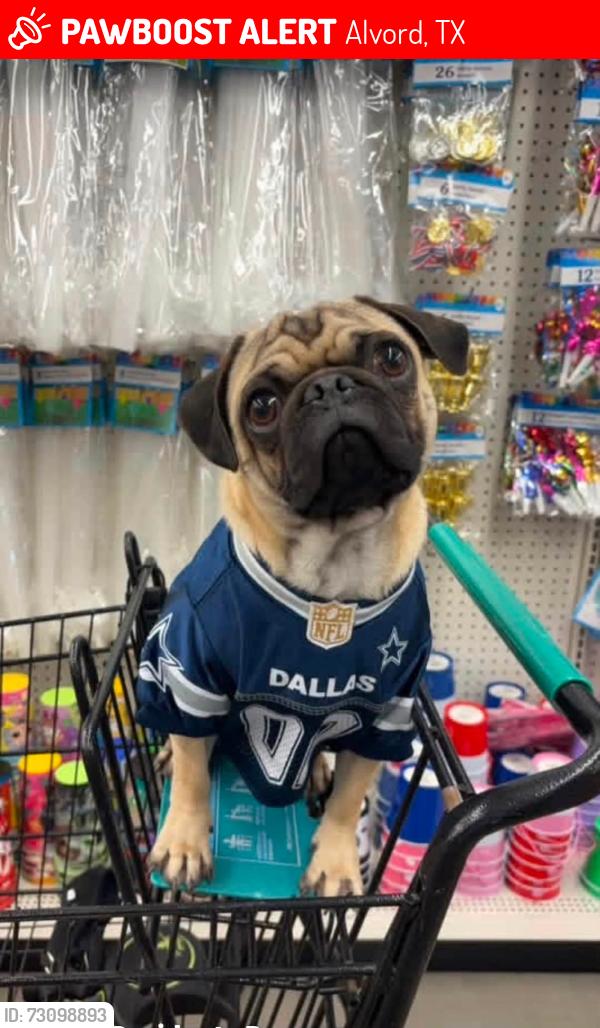 Lost Male Dog last seen Near Ashley Street off Cr 2690, Alvord, TX 76225