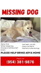 Reunited Female Dog last seen live oak FL, Live Oak, FL 32060