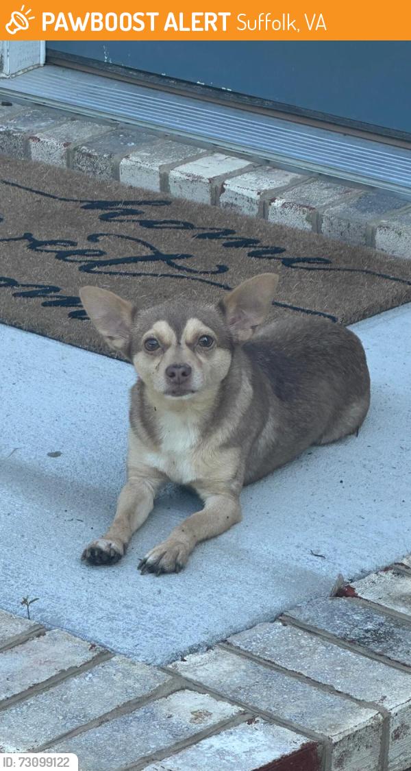 Found/Stray Male Dog last seen Samuel Greene way, Suffolk, VA 23435