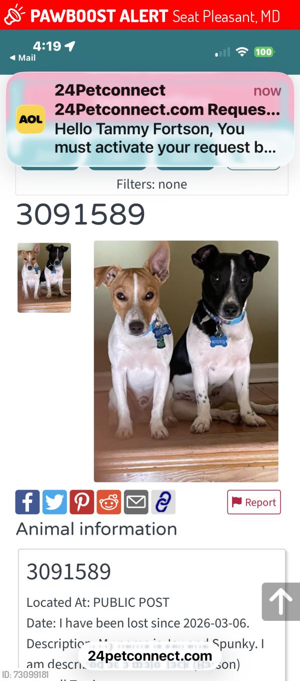 Lost Male Dog last seen Joplin street and birchleaf ave, Seat Pleasant, MD 20743