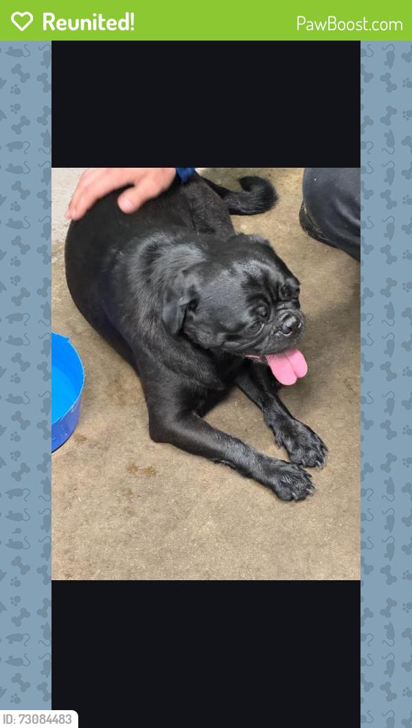 Reunited Unknown Dog last seen Gator Trace , Fort Pierce, FL 34982