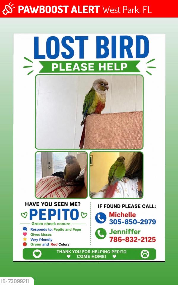 Lost Unknown Bird last seen Near W Lake Dr Hallandale, FL 33009, West Park, FL 33023