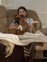 Lost Female Dog last seen 83rd and Louisville, Tulsa, OK 74137