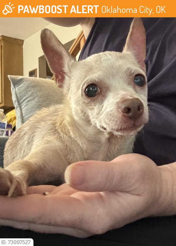 Found/Stray Female Dog last seen SE 44th and Shields, Oklahoma City, OK 73108