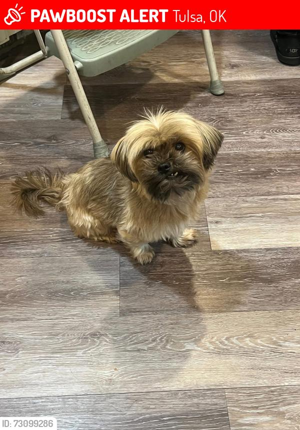 Lost Female Dog last seen 17th and Garnett, Tulsa, OK 74128