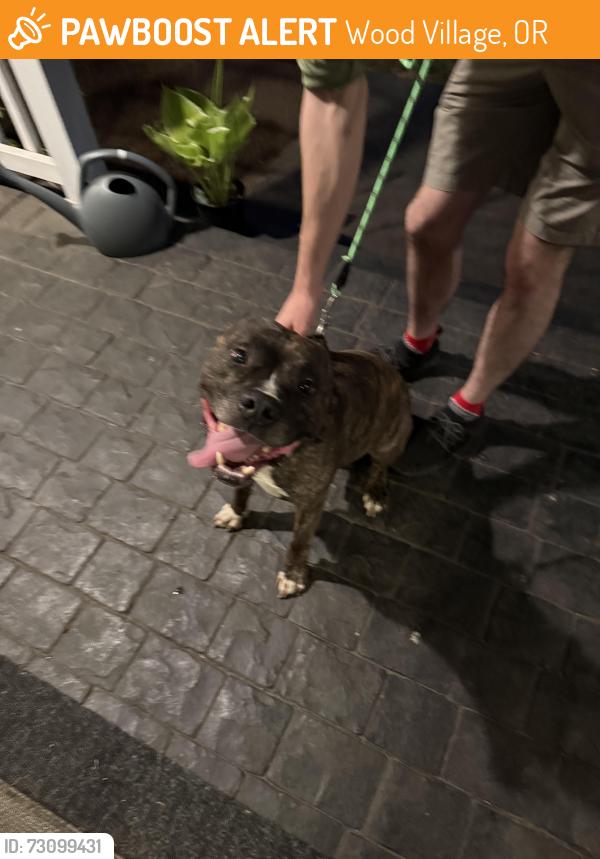 Found/Stray Unknown Dog last seen 238th and Glisan, Wood Village, OR 97060
