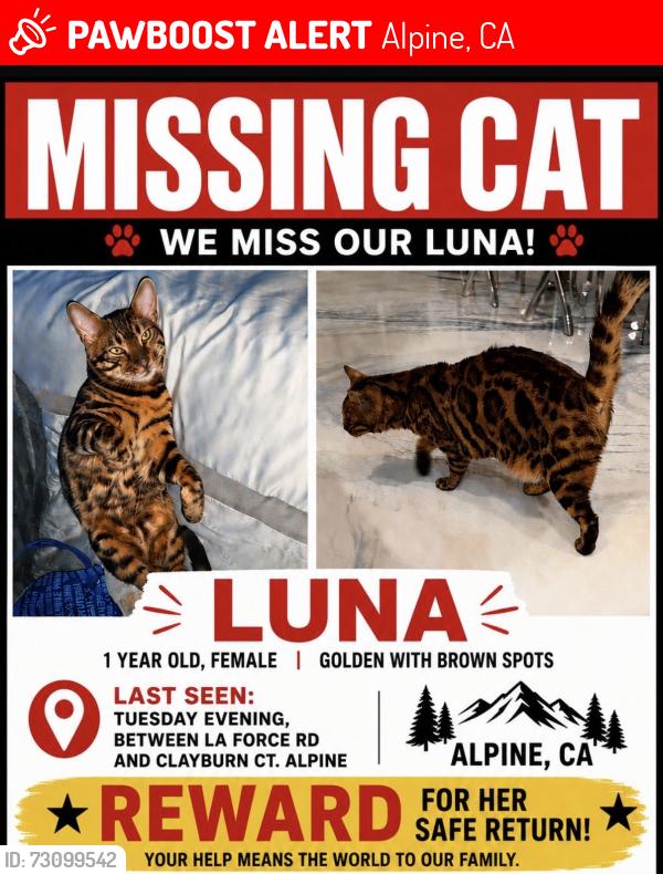 Lost Female Cat last seen Clayburn Court and La Force Alpine Ca, Alpine, CA 91901
