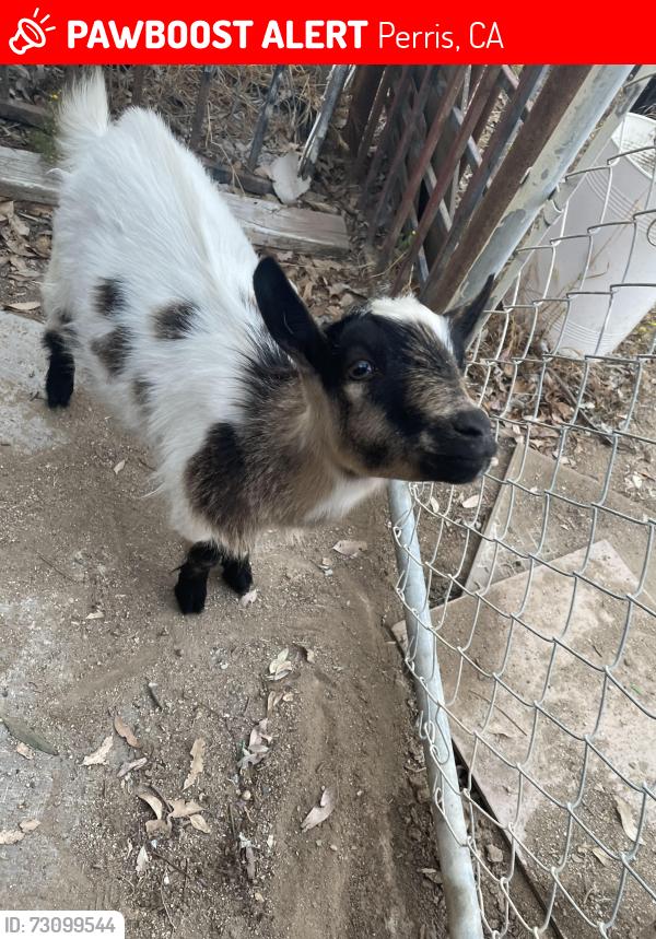Lost Male Other last seen WASSON canyon and hwy 74, Perris, CA 92570