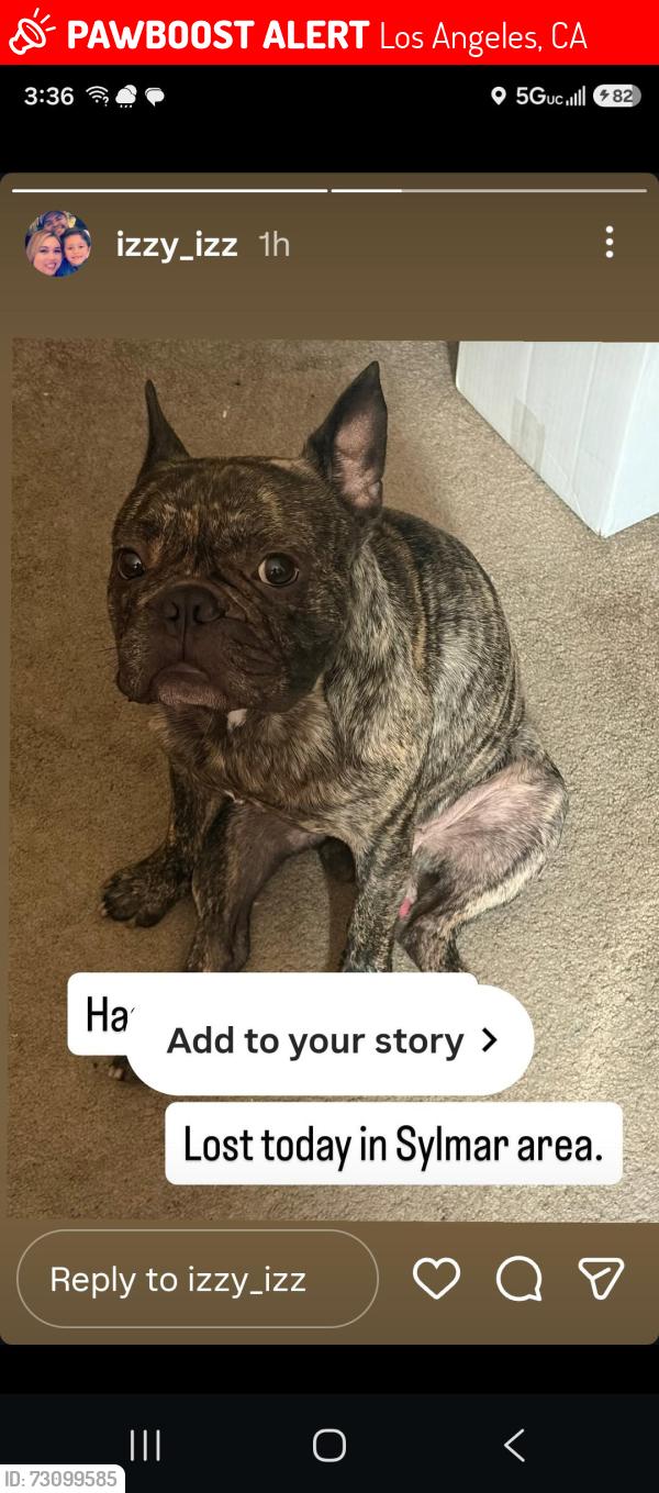 Lost Male Dog last seen Carey ranch, Los Angeles, CA 91342