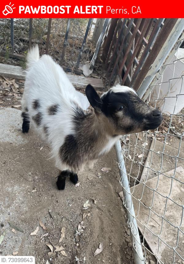 Lost Male Other last seen WASSON canyon and hwy 74, Perris, CA 92570