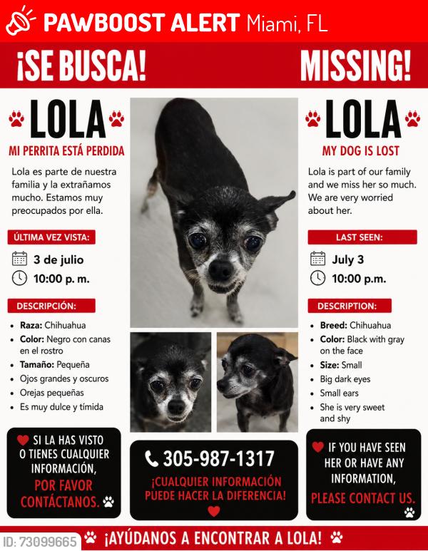 Lost Female Dog last seen Near SW 77 ST MIAMI.FL.33183, Miami, FL 33183