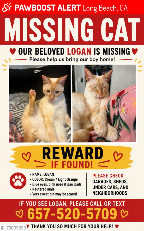 Lost Male Cat last seen 6th street and junipero, Long Beach, CA 90814