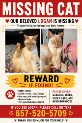 Lost Male Cat last seen 6th street and junipero, Long Beach, CA 90814