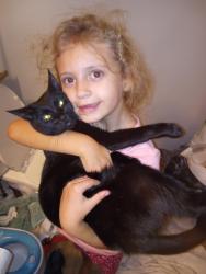 Lost Female Cat last seen elevate @ white oak apmts, Garner, NC 27529