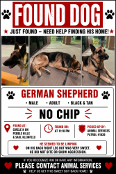 Found/Stray Male Dog last seen Circle K, El Paso, TX 79936