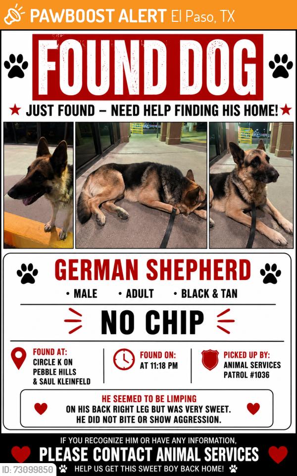 Found/Stray Male Dog last seen Circle K, El Paso, TX 79936