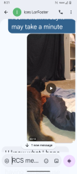 Lost Male Cat last seen Cederdale , Baltimore, MD 21215