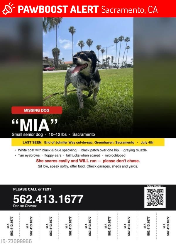 Lost Female Dog last seen “The Pocket” at the end of Johnfer, Sacramento, CA 95831