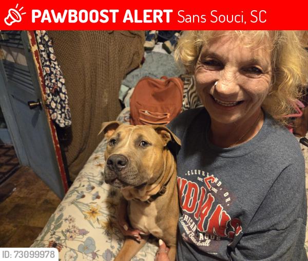 Lost Male Dog last seen Send Susie on buncombe road, Sans Souci, SC 29609