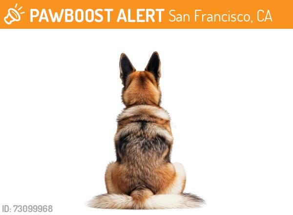 Found/Stray Unknown Dog last seen Carroll Ave & Ingalls, San Francisco, CA 94124