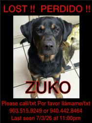 Lost Male Dog last seen VZ CR 4512 Ben Wheeler Tx, by Tree Farm, Van Zandt County, TX 75754