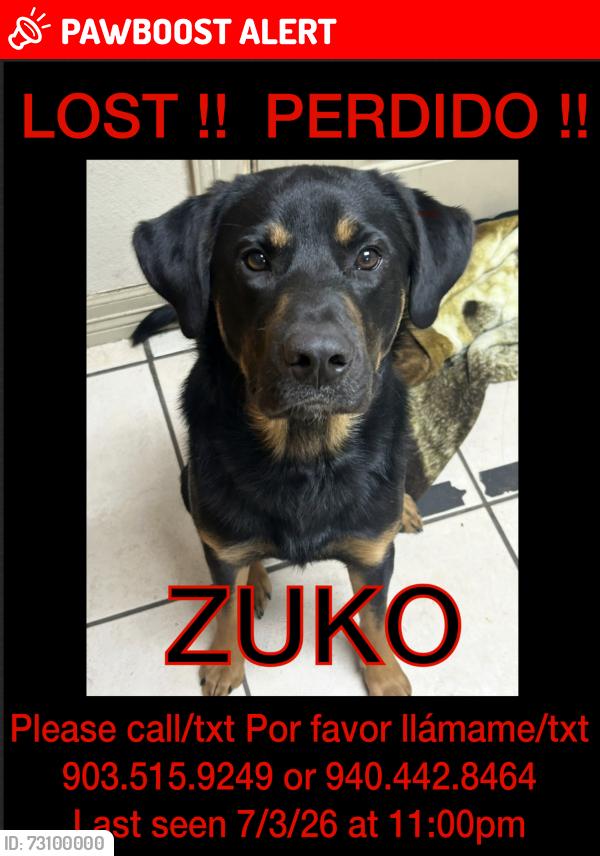 Lost Male Dog last seen VZ CR 4512 Ben Wheeler Tx, by Tree Farm, Van Zandt County, TX 75754