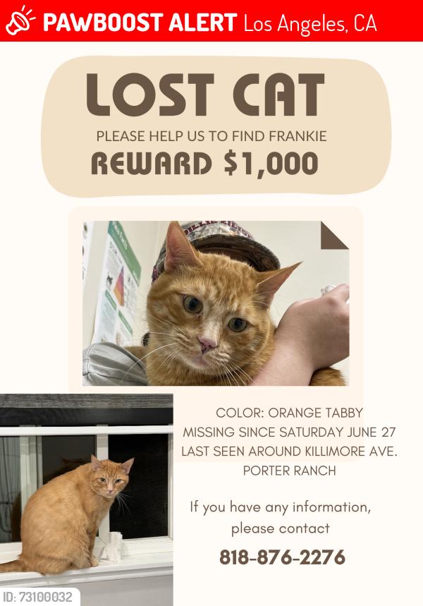 Lost Male Cat last seen CALLE VISTA CIR- BRASILIA DR, Los Angeles, CA 91326